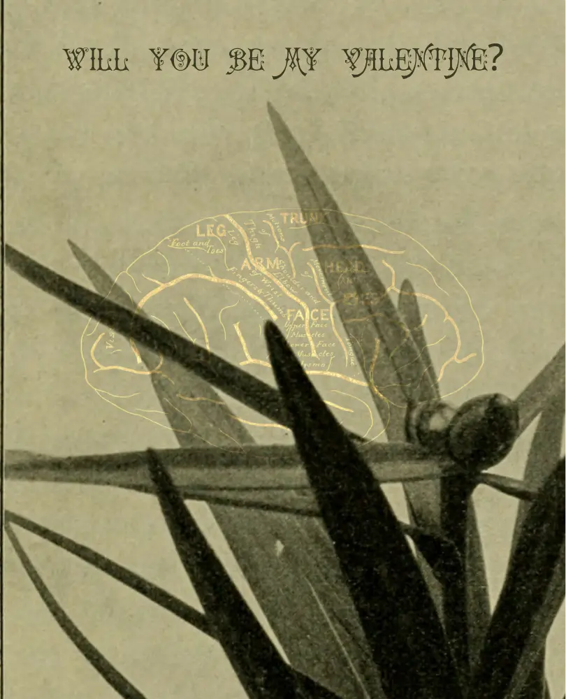 Valentine poster